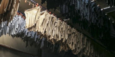 thumbs_b_c_f8083968e555287ab21a167c93594ac6