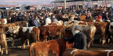 8jpg-KQ0PG4OokUOpa0FmQY6-gQ