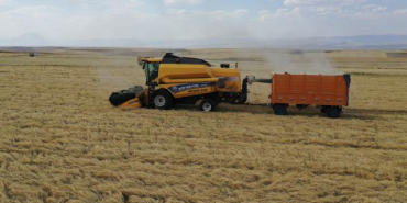 hububat-tarim-agri-aa-2099017_2