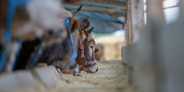 thumbs_b_c_2d04d2f7659b9c669e9da0513e6d666f