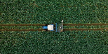 thumbs_b_c_354997598d32857e9b364be70dd678b6