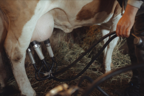 thumbs_b_c_3843a048fbc8a61072cdbdb39799d75a