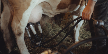 thumbs_b_c_3843a048fbc8a61072cdbdb39799d75a