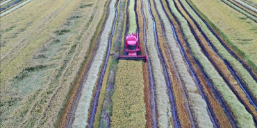 thumbs_b_c_546434b4f9adba92b18d2fc5492afe57