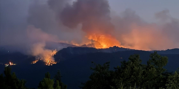 thumbs_b_c_6d5c345e7eaf3fe3db66b2b34a2cd7db