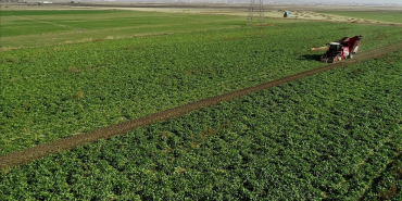 thumbs_b_c_85393a89d190bb28482da40e507c769c