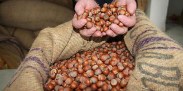 e75aceae-bh7q0x2p9vnmtxmp1fqlum