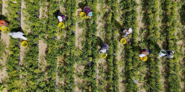 thumbs_b_c_0e9e783194d8b34baecd5c0a522643aa