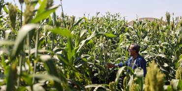 thumbs_b_c_1b2d60cbb49ffd28f616f881ce492ba3