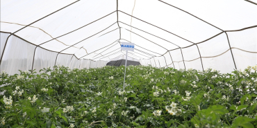 thumbs_b_c_8afa961cc3d8128a83e10bf0284f5bf8