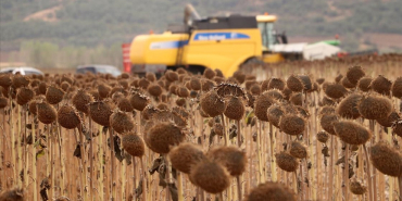 thumbs_b_c_b64461b8bd725e6933631e3a44963a4f