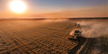 thumbs_b_c_c0cceafd992d2b3e84ce0078f3a88742