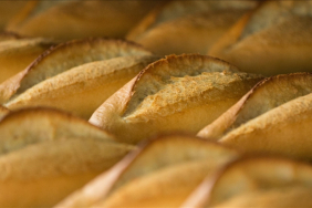 thumbs_b_c_dc30c80355c5247c2c032f5c641009a5