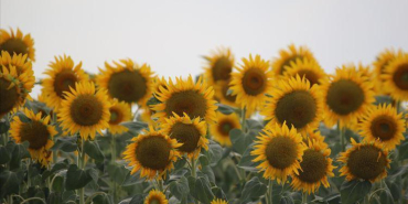 68b6a61f8033b20ff4b31adf