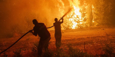 orman-yangini-aa-2388040_2