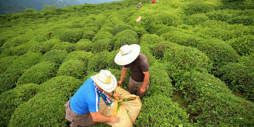 thumbs_b_c_125ccd2218d7a14563a0c32de8a3077c