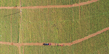 thumbs_b_c_15086aea2f78bb6e5a4c509eb213349e