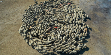 thumbs_b_c_2efdc0b1e2e81a7b9350e771beacd0ed