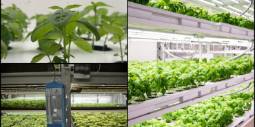 thumbs_b_c_60a9199aa13028057fb76bc42edcc567