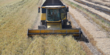 thumbs_b_c_66d6dabe08b9dc0b4357b005c0b48b8c