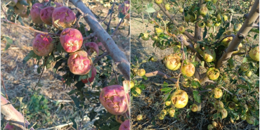 thumbs_b_c_7407a2ef7a7efb5d6f4a7fb5b75ffea5