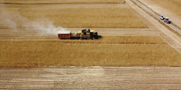 thumbs_b_c_8619c2ea355caf60dd5095313cf86320