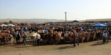 thumbs_b_c_8eccca2fd6812d640d3c65e56037605d