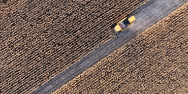 thumbs_b_c_98eadef6e77586c7282c4df03c31b039