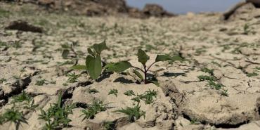 thumbs_b_c_a658bc047bbb71ee54ed8b3b15775da4