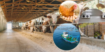 thumbs_b_c_b99e96499b97692349534d0891ed7093