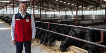 thumbs_b_c_cb903b9b29c722ecfa9f5e721361eee1