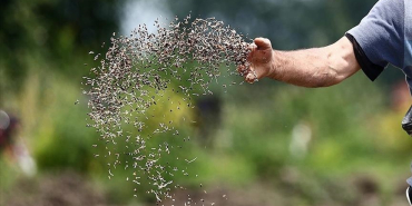 thumbs_b_c_e76cc1a6ad7eaf8aca6ae3095df85cb7