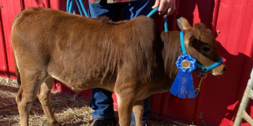 111111jpg-E7R7oYL1m0CZoR4xdOErIA