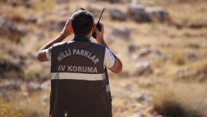 thumbs_b_c_120e9c68fe65749cb8276c25a3dca48b