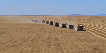 thumbs_b_c_18b781851e34da59a5080acde5c0b881