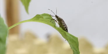 thumbs_b_c_28793dc0c9b16a649d9943e77e5a80d6