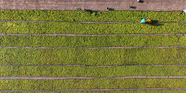 thumbs_b_c_4684ed9b14e70c14de5f7bd7a957aba1