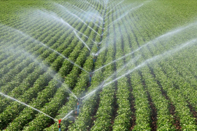 thumbs_b_c_6a85e602e87d79fd44b32f473cba01cb