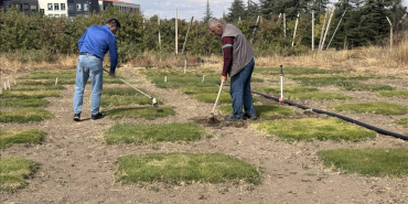 thumbs_b_c_76fb99765b4449725fb1b10493997da1