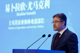 thumbs_b_c_77745d60d01119f9ea17d40d8769db29