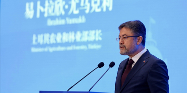 thumbs_b_c_77745d60d01119f9ea17d40d8769db29