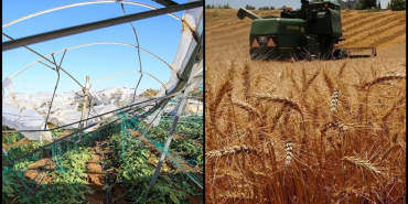 thumbs_b_c_a457174033395c098fd4dfda1e049eba