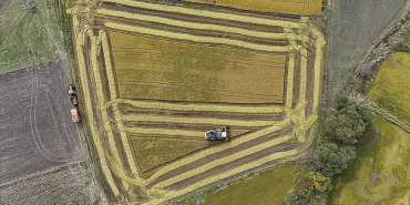 thumbs_b_c_c63984a45047061a2906103404b22fbd