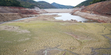 thumbs_b_c_ddaeff3b59b3cb6299e46b42dced8c5c