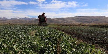 thumbs_b_c_e6eeb1e66edcec43362b97f66592d8f8