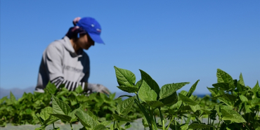 thumbs_b_c_f5d63dc91a7b6e5b7839c92640837527