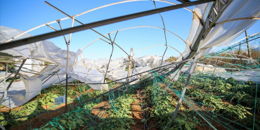 thumbs_b_c_fdbe032c9ff5fdb15e34e4be309c3b06