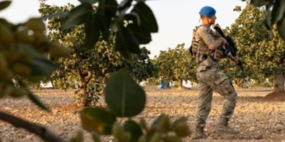 3 Kilosuna Daire Satın Alınıyor: Askerler Tarlanın Başında Gece Gündüz Nöbete Başladı