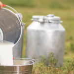 Destekleme Ödemesi Vitrin 7.11.2025