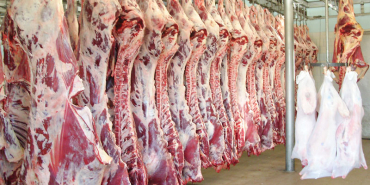 mirac-omerbeyoglu-entegre-hayvancilik-Karkas-Et-1